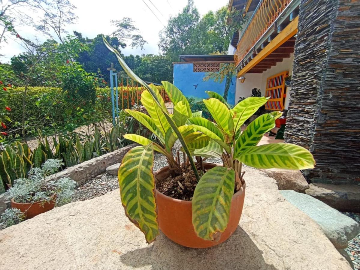 Casa De Las Rocas Hostel Jardin Exterior foto